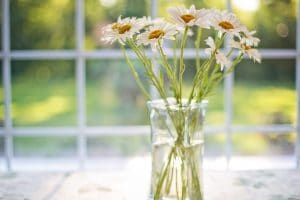 Quel matériau choisir pour ses fenêtres ?