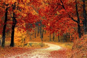 22600a63d4371cd21c1c5ec597a1008a