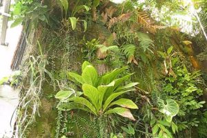 rfZ8LoTzRF3FDFDprtGh