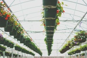 Transformez votre espace extérieur avec des plaques en polycarbonate