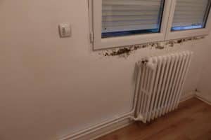 solution Humidite ancien immeuble